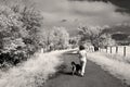 Woman with puppy on country road in infrared