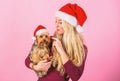 Woman with puppy wear santa hat. Celebrate christmas with pets. Ways to have merry christmas with pets. Reasons to love