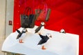 Woman purses shop with winter decoration