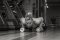 Woman push-ups on the floor