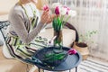 Woman puts bouquet of tulips flowers in vase with water at home. Fresh blooms picked up in basket. Interior and decor Royalty Free Stock Photo