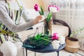 Woman puts bouquet of tulips flowers in vase with water at home. Fresh blooms picked up in basket. Interior and decor Royalty Free Stock Photo
