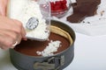 A woman puts coconut flakes into a chocolate ganache sponge cake. Adds a spoonful of agar agar. Levington cake, stages of