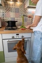 Woman puts the fettuccine pesto paste from saucepan on a plate, dog begging nearby