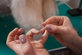 woman puts a plaster on her finger. Royalty Free Stock Photo