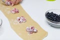 A woman puts starchy cherries on the rolled dough. Cooking dumplings