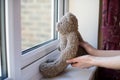 Woman Putting Teddy Bear In Window At Home For Bear Hunt Game During Coronavirus Pandemic To Entertain Children Royalty Free Stock Photo
