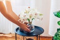 Woman puts transparent vase with bouquet of roses flowers on table. Taking care of interior and summer decor at home Royalty Free Stock Photo