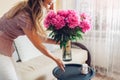 Woman puts vase with peonies flowers on table. Housewife taking care of coziness at home. Interior and spring decor