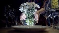 Woman puts vase of flowers on table. Action. Close-up of woman puts vase of white flowers on serving table with Royalty Free Stock Photo