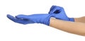 Woman putting on blue latex gloves against white background, closeup of hands Royalty Free Stock Photo