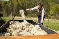 Woman putting raw wool in a raised garden bed. DIY concept Royalty Free Stock Photo