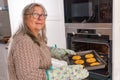 woman putting a tray of cookies in the oven Royalty Free Stock Photo