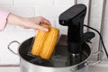 Woman putting vacuum packed corn into pot, closeup. Sous vide cooking Royalty Free Stock Photo