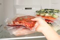 Woman putting vacuum packs with meat into fridge, closeup. Food storage