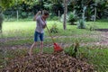 woman racking dead leaves