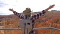 Woman Raised Hands Upwards While Standing On Observation Deck Overlooking Canyon Royalty Free Stock Photo