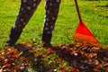 Woman, rake and leaves. Autumn garden work Royalty Free Stock Photo