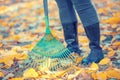 A woman rakes fallen leaves in the garden