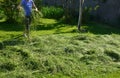 Woman rakes hay and lays on a wheelbarrow. the child helps the mother with the harvest and the father checks the quality to see if