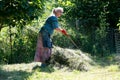 Woman raking the grass into a pile. Farm chores, working on a field and raking the grass Royalty Free Stock Photo