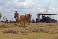 Woman Raking Hay With Horse Drawn Equipment