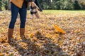 Woman raking leaves in fall