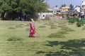 Woman raking mowed grass