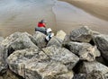 Woman Reading a Book In Beach Rock Royalty Free Stock Photo