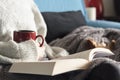 Woman reading a book and drinking a hot drink, covered with a blanket and dog sleeping beside her. Cozy home Royalty Free Stock Photo