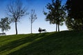 Woman reads a good book in the park, on a sunny day