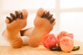 Woman receiving hot stone massage on feet. . Royalty Free Stock Photo