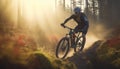 woman bike sunset recreation dark summer forest walking cycling bicycle sport. Generative AI.