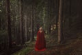 Woman with red cloak in a fairy forest Royalty Free Stock Photo