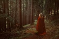 Woman with red cloak in a mysterious forest Royalty Free Stock Photo