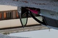 A woman closing car door in a pool reflection Royalty Free Stock Photo