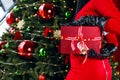 A woman in a red dress and black gloves holds a Christmas present in front of a decorated Christmas tree Royalty Free Stock Photo