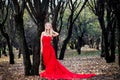 Woman in red dress in fall fairy tale forest Royalty Free Stock Photo