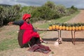 Woman in red dress and hat sells pineapples by the roadside in rural Transkei, South Africa. Royalty Free Stock Photo