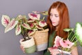 Woman with red hair holding many tropical Caladium houseplants in flower pots