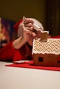 Woman in red hat building gingerbread house.