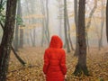 woman in red jacket autumn leaves trees walk fog Royalty Free Stock Photo