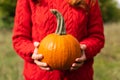 A woman in a red knitted sweater holds an orange pumpkin in her hands. Preparation for Halloween. Harvesting concept. Close-up Royalty Free Stock Photo