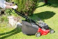 Woman with red lawn mower cutting green grass in sunlight Royalty Free Stock Photo