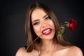 Woman with red lips and rose flower. Rose flowers in a mouth. Fashion beauty portrait on studio background. Seductive Royalty Free Stock Photo