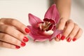 Woman with red manicure holding flower on white, closeup. Nail polish trends