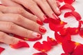 Woman red nails and rose petals. Royalty Free Stock Photo