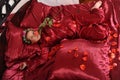 Woman in red pajamas lying on a bed on silk red linen with hair curlers and a rose in her hand Royalty Free Stock Photo