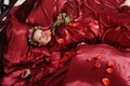 Woman in red pajamas lying on a bed on silk red linen with hair curlers and a rose in her hand Royalty Free Stock Photo