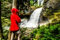 Moul Falls in Grouse Creek in Wells Gray Provincial Park at Clearwate Royalty Free Stock Photo